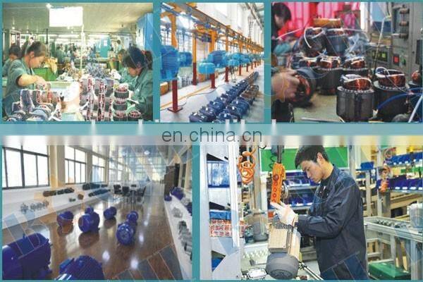 Marine powerful electric motor electric motor