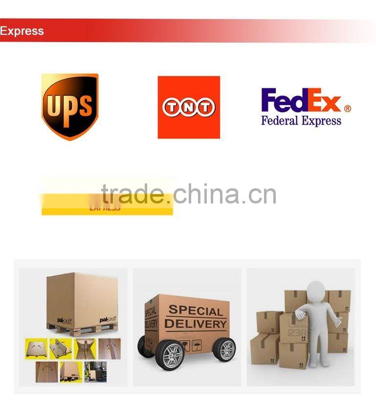 Electric Bicycle Charger