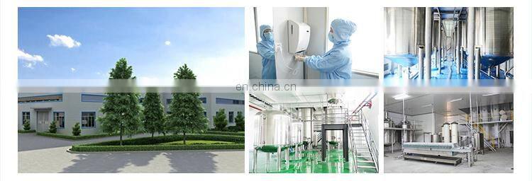 Sephcare Plant Extract Turmeric Curcumin Color Powder Nano Curcumin