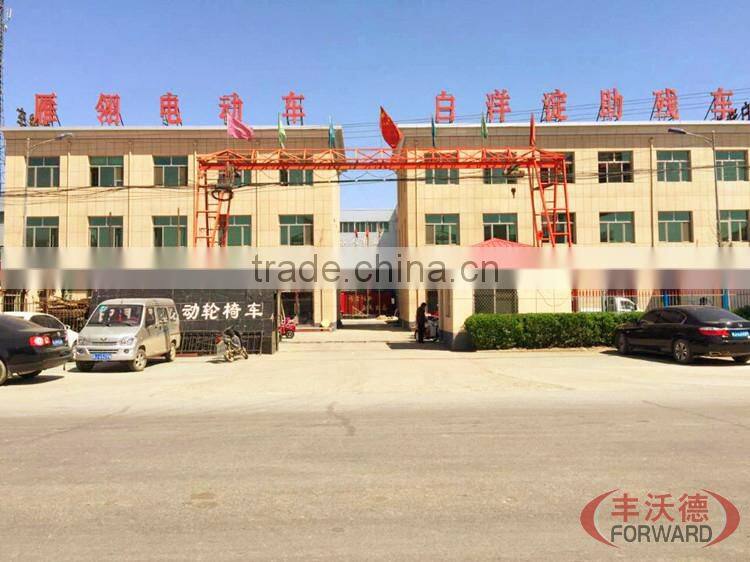 New product 60V 1000W electric vehicle for adult and children