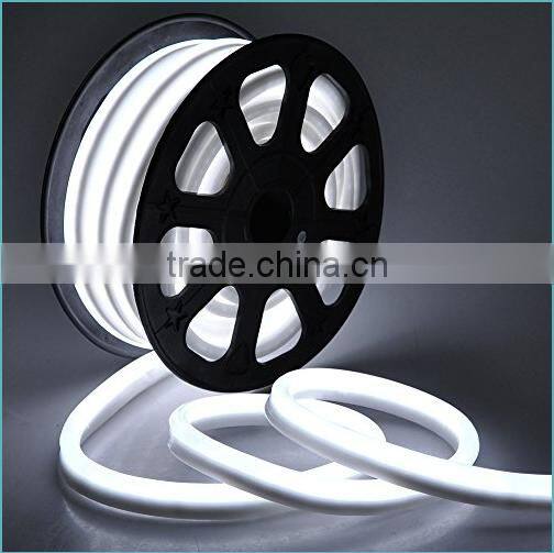 Holiday/Christmas Decoration neon sign/neon tube light/neon lighting for building