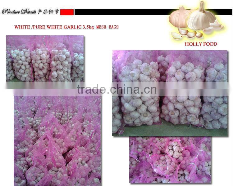 3.5kg mesh bag white pure white fresh garlic ASEAN southest asia middle east Arabic Pakistan 5.0 5.5 6.0 cm