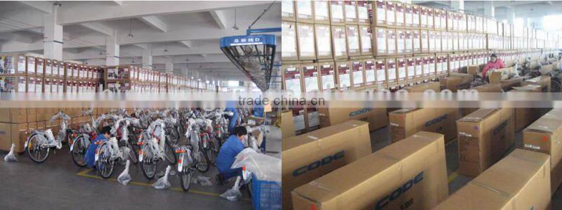 250W mini folding electric bike with 36v 10ah lithium battery as gift XY-EB003F