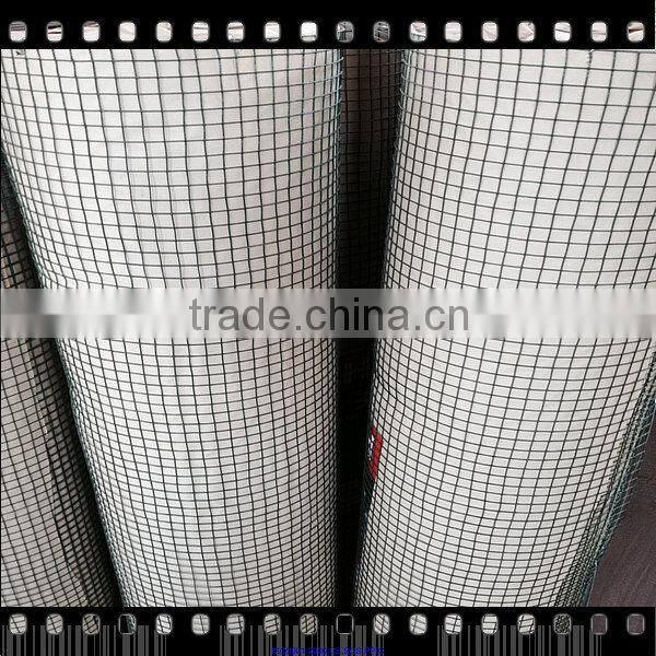 3/4 inch galvanized welded wire mesh best quality