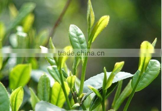 TI010 portable 12g travel tea infuser ball