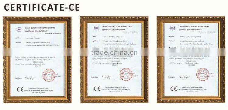 Inverter AC DC pulse aluminium argon welding machine WSME-315 TIG welder