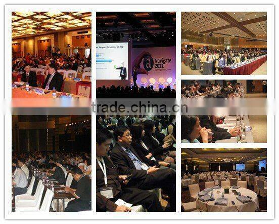Professional voting conference system