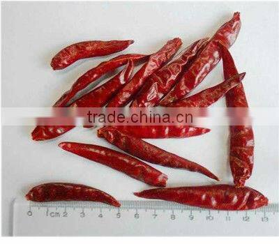 tianying small chilli w/o stem