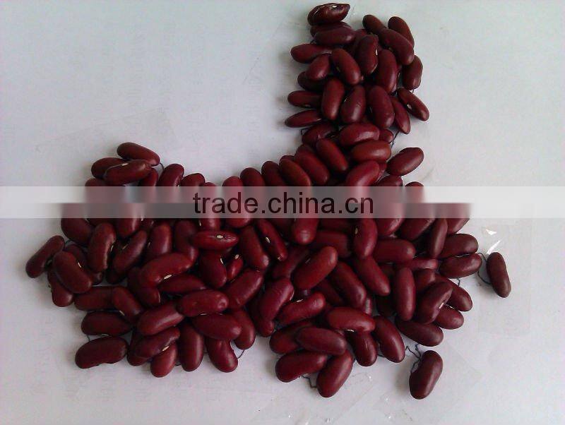 Dark Red Kidney Bean( 2013 crop, heilongjiang origin, hps)