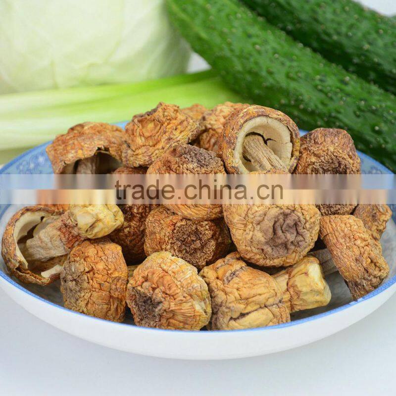 Dried Matsutake Mushroom High Quality