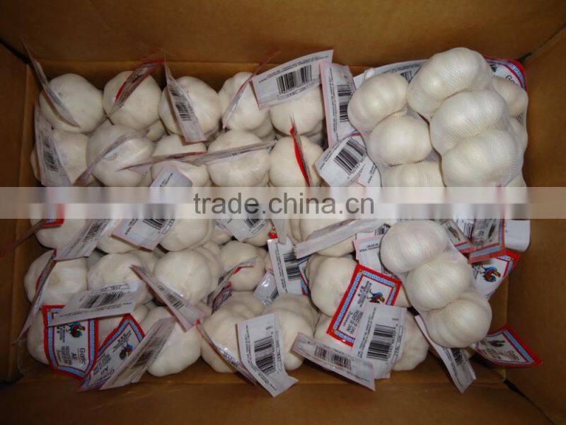 2016 new Fresh White Garlic at cheap price