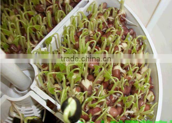 2013 home automatic plastic bean sprout machine