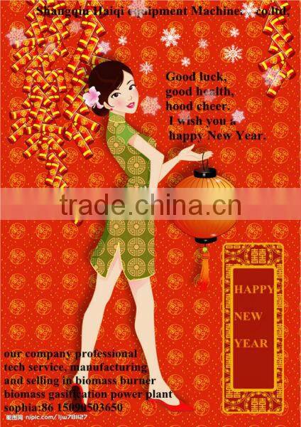 Biomass Gasifier For Dryer