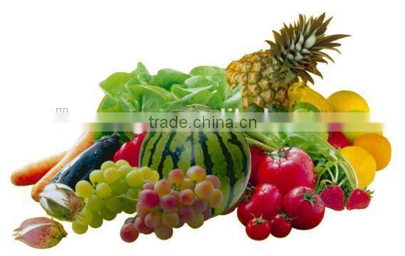 2014 new design Stainless steel fruit and vegetable dehydrator machine
