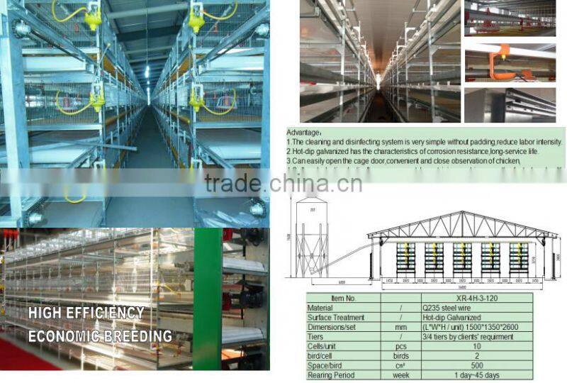 High quality Poultry Broiler and layer house