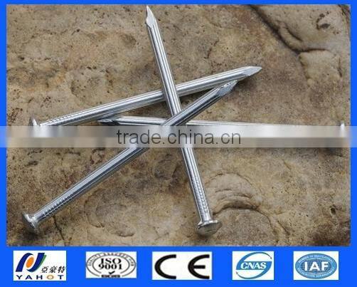 Galvanized Concrete Nails