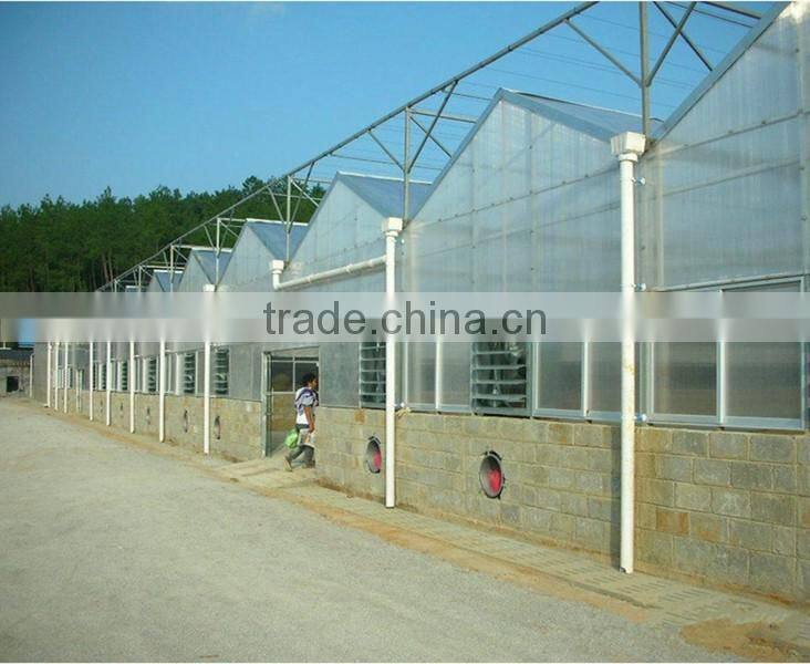 Large Multi-span fiberglass commercial greenhouse,garden greenhouse,flower greenhouses
