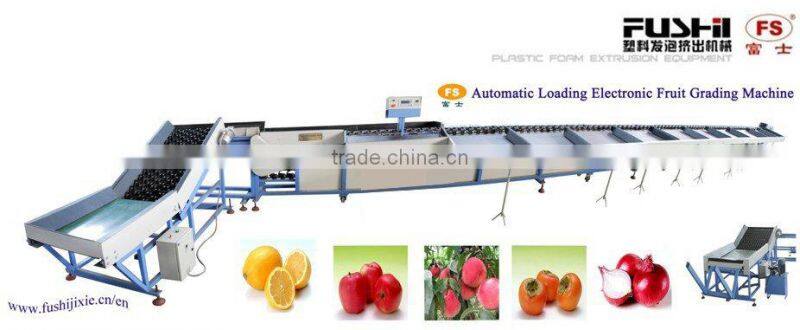 fushi sells at new FGX-DZ electronic fruit grading machine