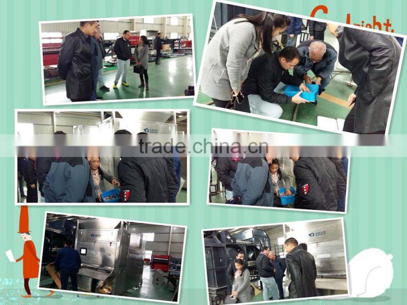 Automatic rice color sorter, rice color sorting machine