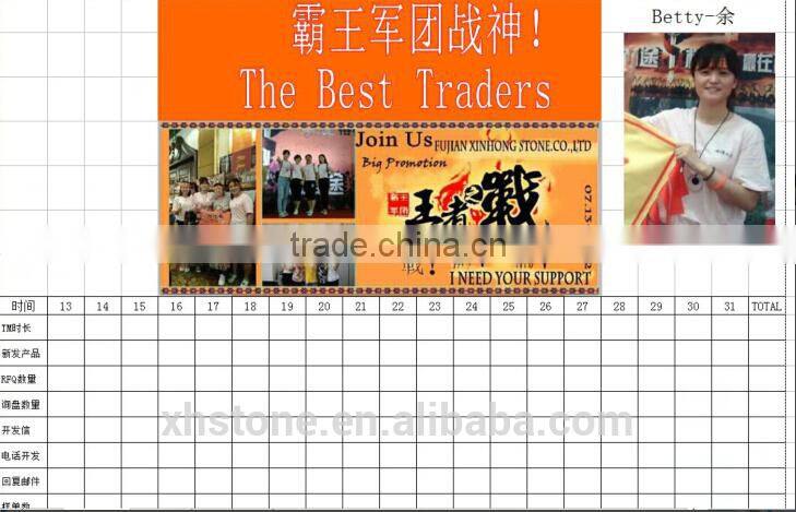 natural decotative semicassis inornata seashell for sale