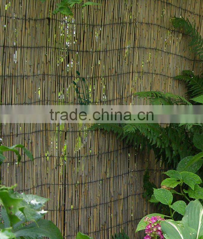 reed screen