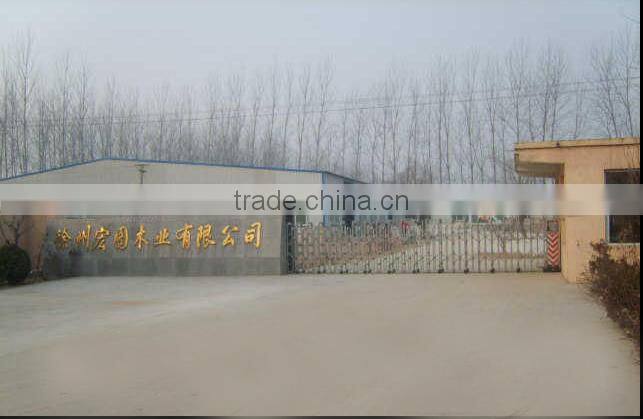 Heart shape Bamboo skewer make in china