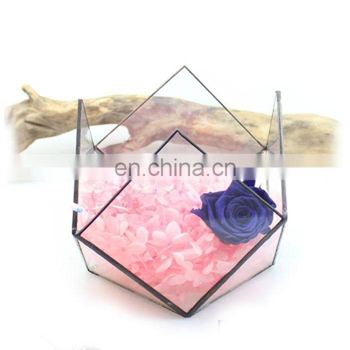 terrarium with ring geometric glass terrarium wholesale