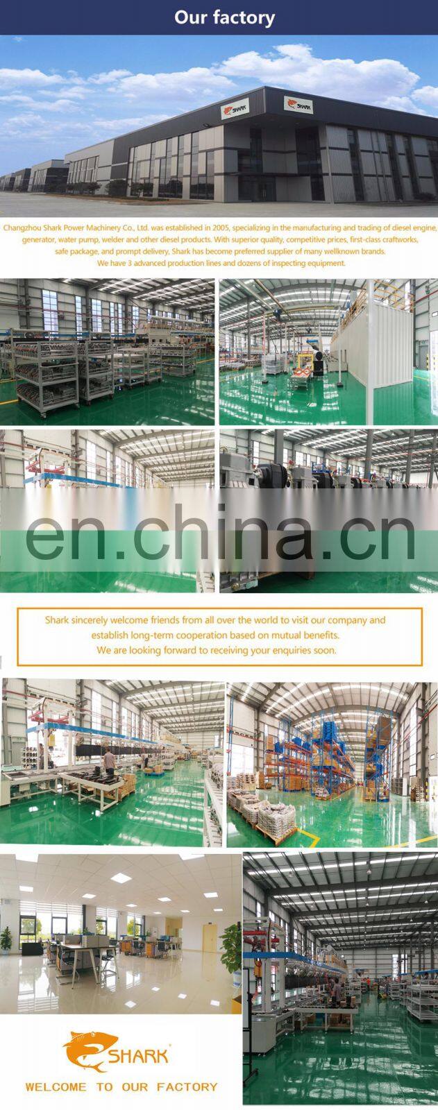 5KW SILENT DIESEL GENERATOR DG6500LDE-N (BIG FUEL TANK)