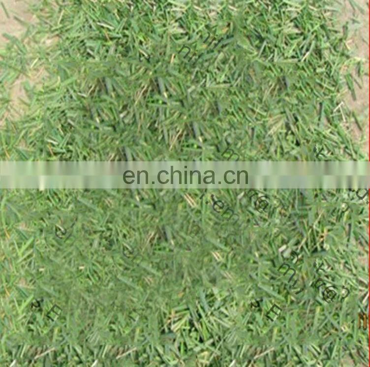 Factory supply big capacity Straw Crusher / Hay Cutter / Chaff Cutter For Animal Feed