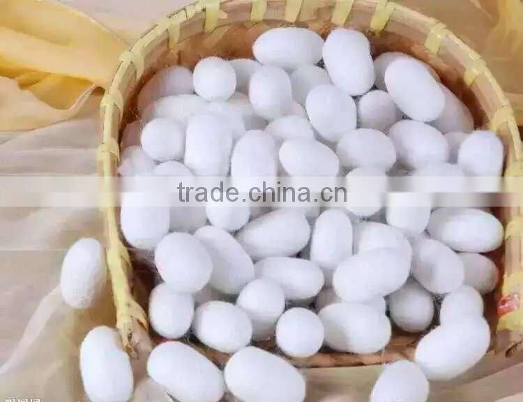 2015 New Arrival Top fashion silk Scarf and shawl