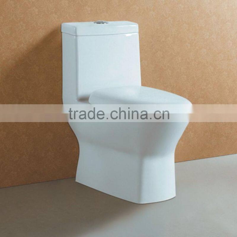 Floor Standing Ceramic S Trap Bathroom Toilet