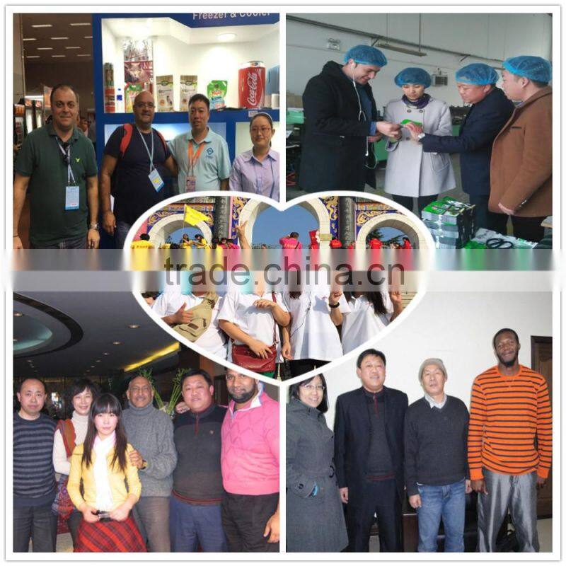 high barrier clear food vacuum plastic bag / vacuum bag nylon bag food bag