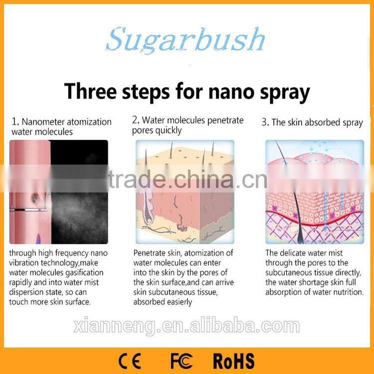 Handheld electric nano facial steamer sprayer device In Europe