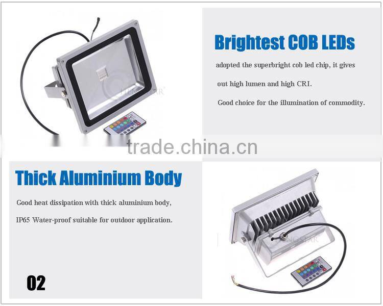 10w 20w 30w 50w color changing Landscape Outdoor led Lamp Garden IR Remote , green Remote Control outdoor plant illumination led