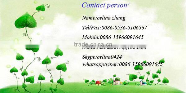 pvc Kitchen Cabinet Door / doors and kitchens