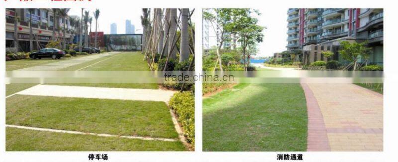 Plastic grass pavers for parking lot