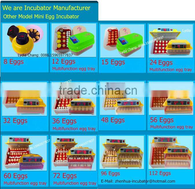 plastic poultry transport crate/chicken transport box lydia chang 0086.15965977837