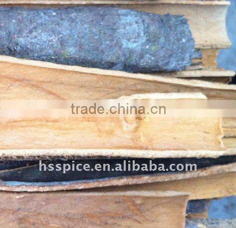 Split cinnamon cassia