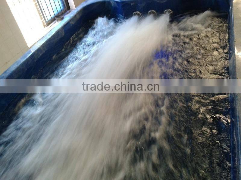 Whirlpool large spa pool for family happily use outdoor swimming pool