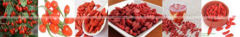 100% Natural Goji berry extract free sample goji berries for sale