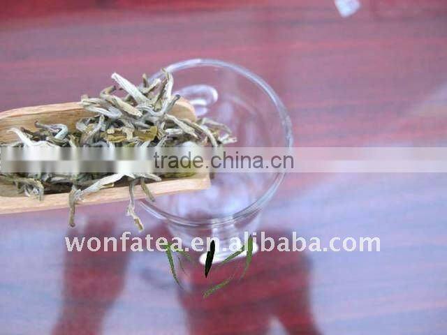 High quality jasmine tea with best price