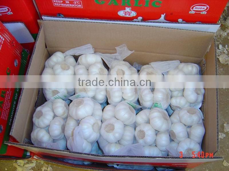 Pure white garlic (snow white garlic, super white garlic)