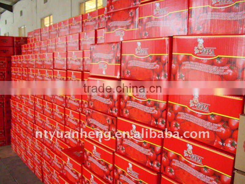 850g canned tomato paste 28-30%brix sold in dubai