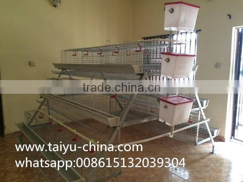 Chicken cage 120 birds 3 tier or 256 birds chicken cage hot sale in Zimbia