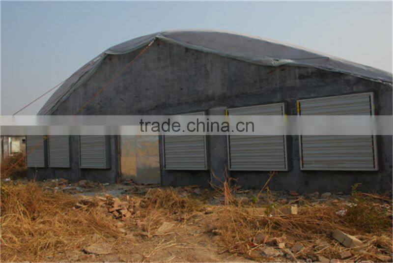 Poultry Farm Design Layout Automatic Broiler Feeding System Agricultural Equipment for Chicken House/Shed/Coop/Hangar/Barn