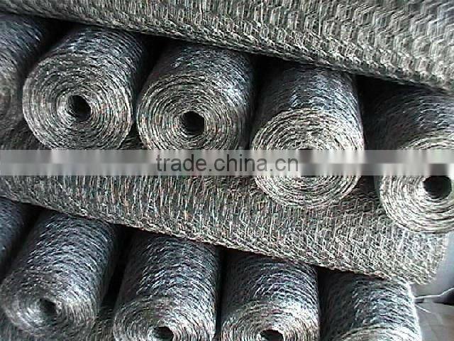 Hexagonal wire mesh/Hexagonal Animal cages