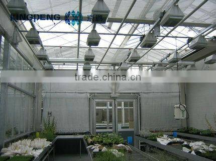 Fast Seedling Plant Factory for Vegetable