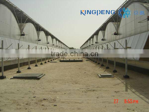 Plastic Poly Film Greenhouse