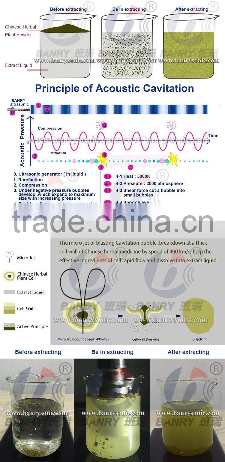 Ultrasonic herbal medicine extraction equipment