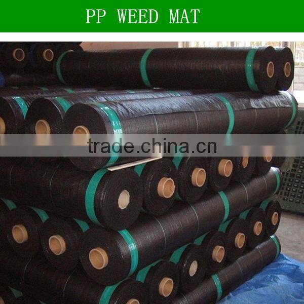 Agricultural greenhouse pp ground cover fabric black weed mat